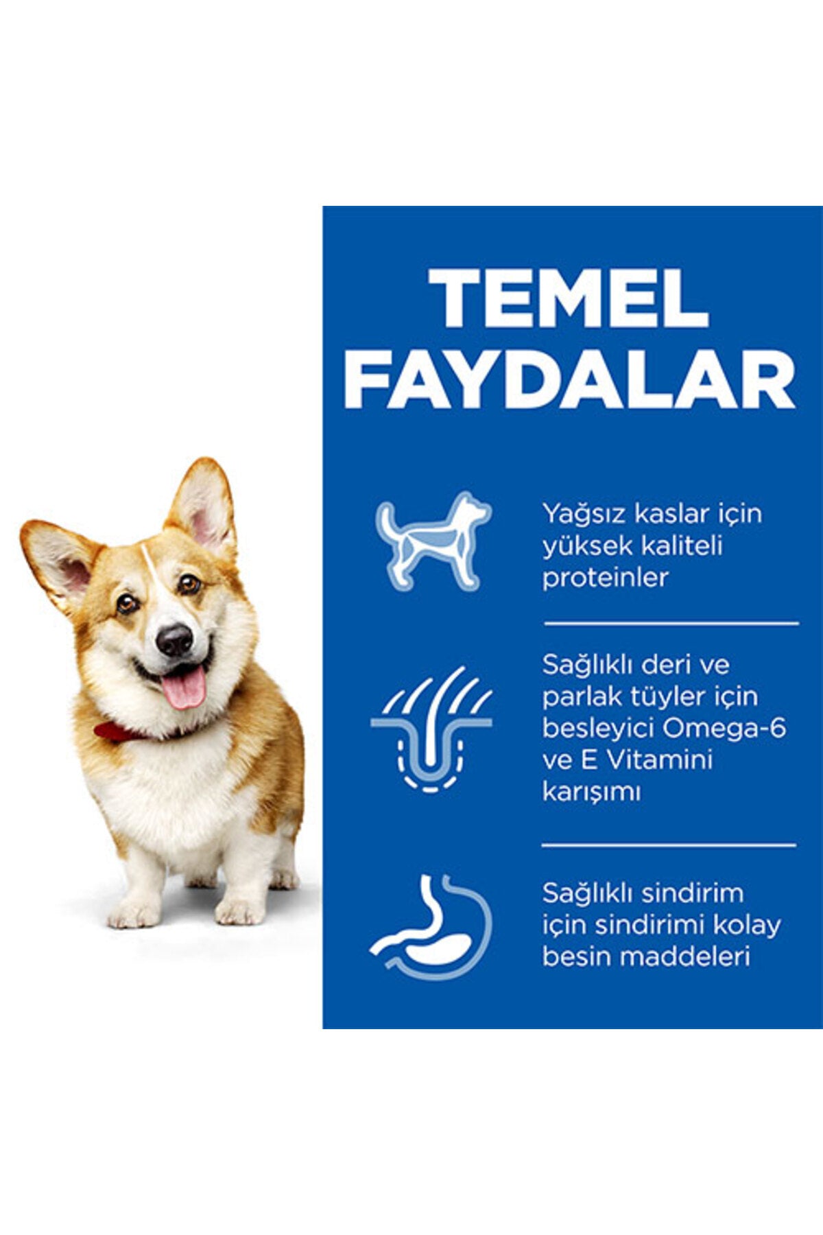 Hill’s SCIENCE PLAN Adult Small & Mini Chicken Küçük Irk Tavuklu Yetişkin Köpek Maması 6 Kg