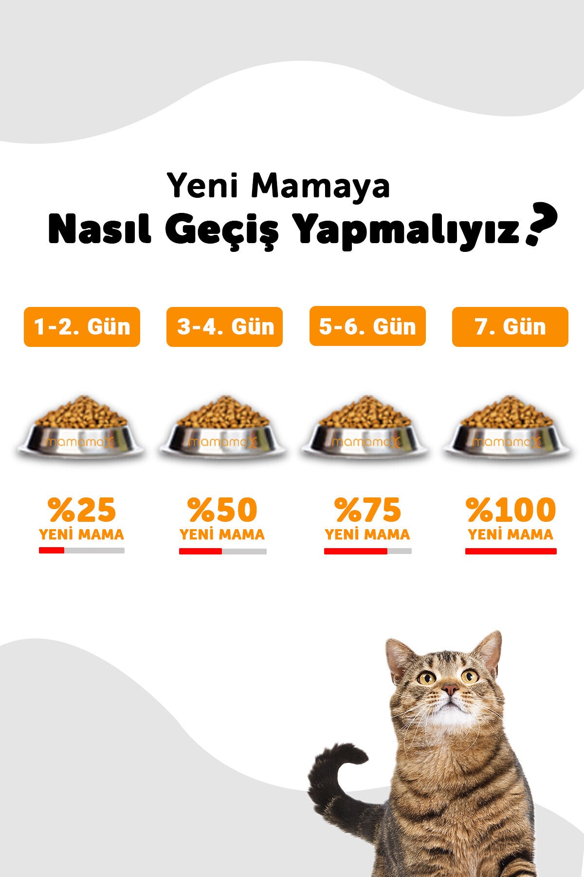 Yavru Kuru Kedi Maması (Kitten) Somonlu 12 KG