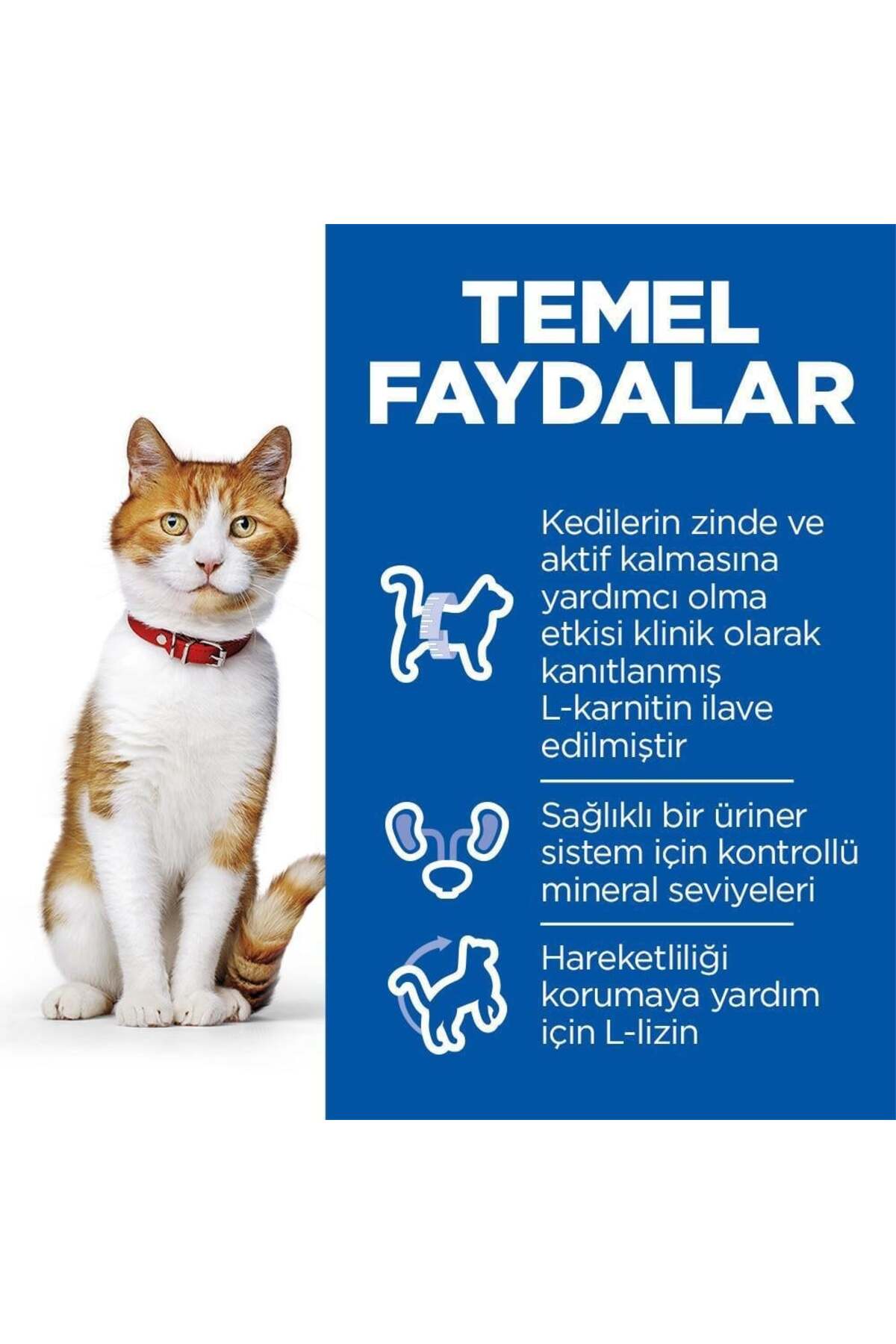 Adult Sterilised Somonlu Kısırlaştırılmış Kedi Maması 10 Kg
