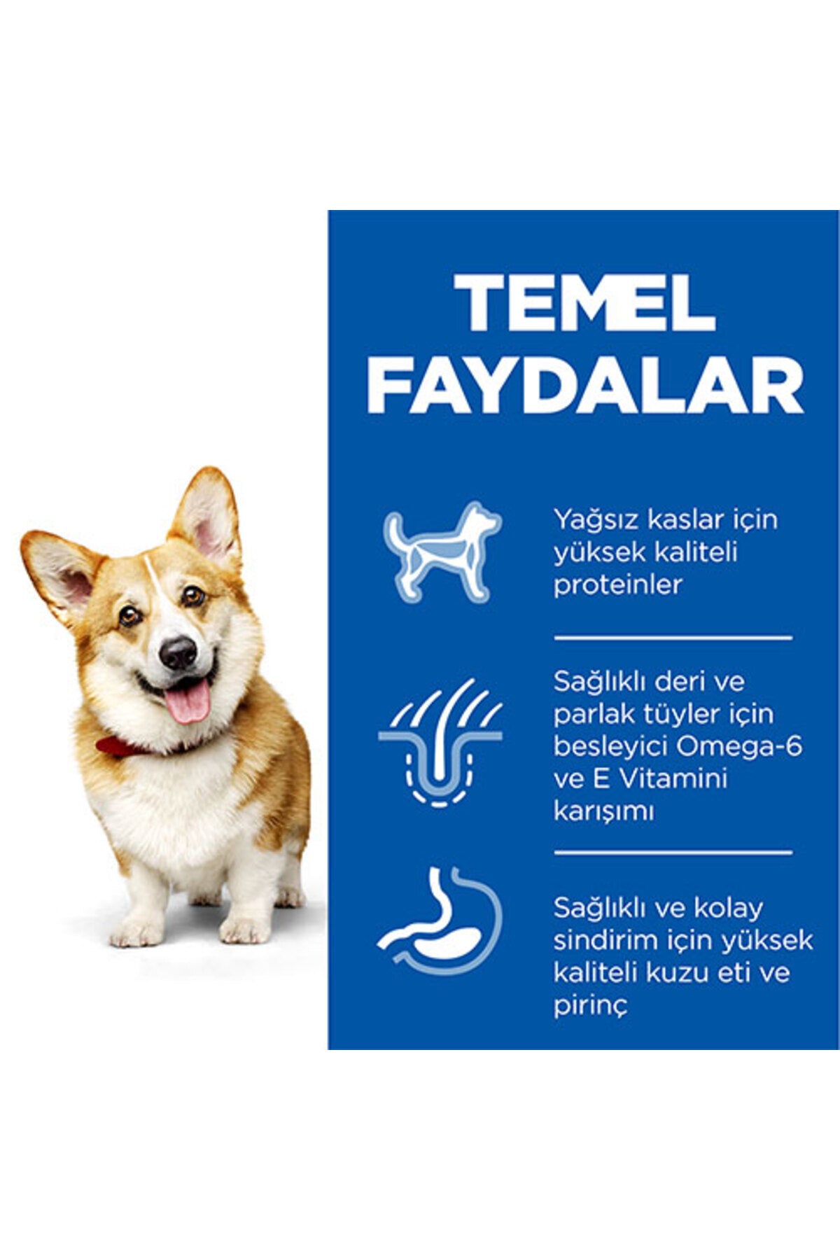 Hill’s SCIENCE PLAN Adult Small & Mini Lamb & Rice Küçük Irk Kuzulu Yetişkin Köpek Maması 1,5 Kg
