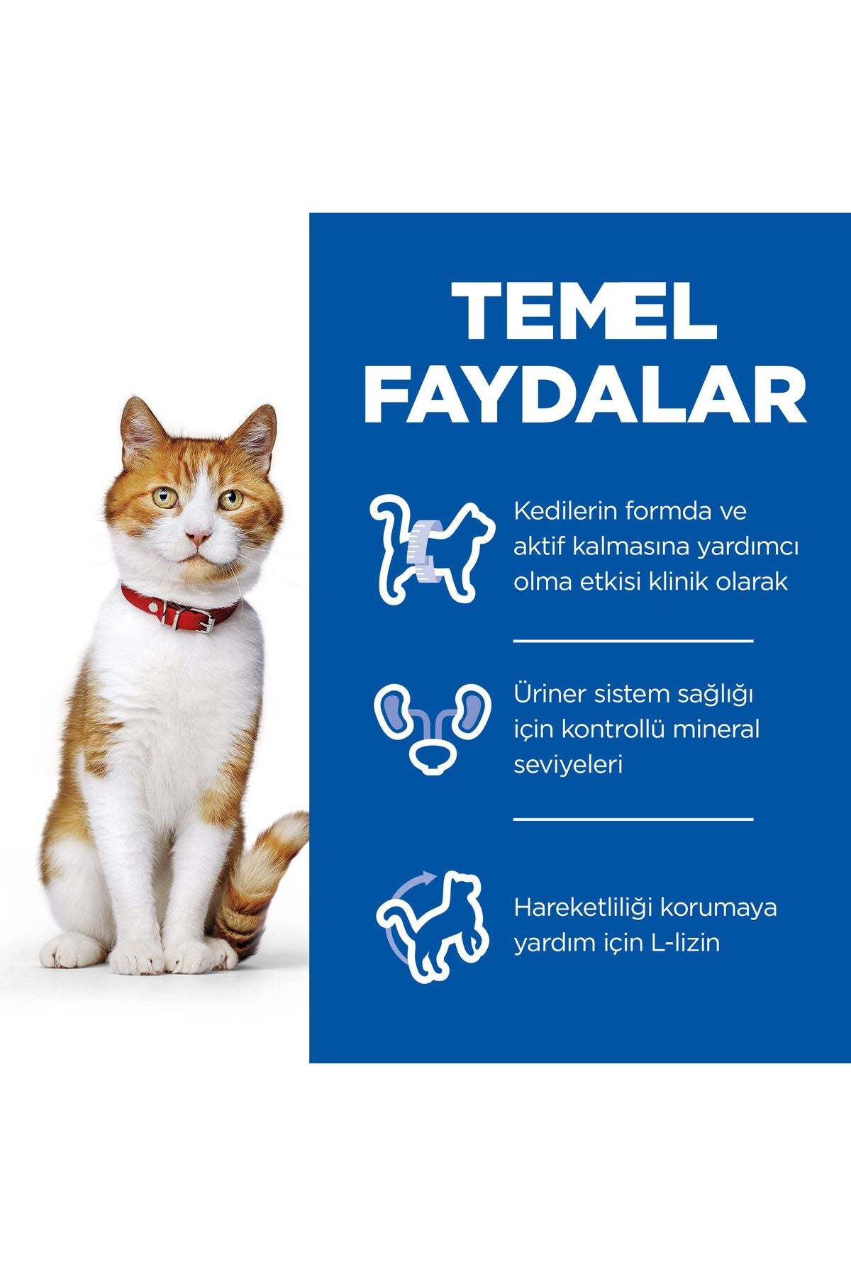 SCIENCE PLAN Tavuklu Kısırlaştırılmış Yetişkin Kedi Maması 10 Kg