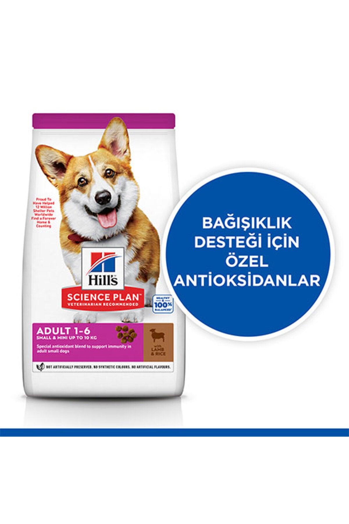 Hill’s SCIENCE PLAN Adult Small & Mini Lamb & Rice Küçük Irk Kuzulu Yetişkin Köpek Maması 1,5 Kg