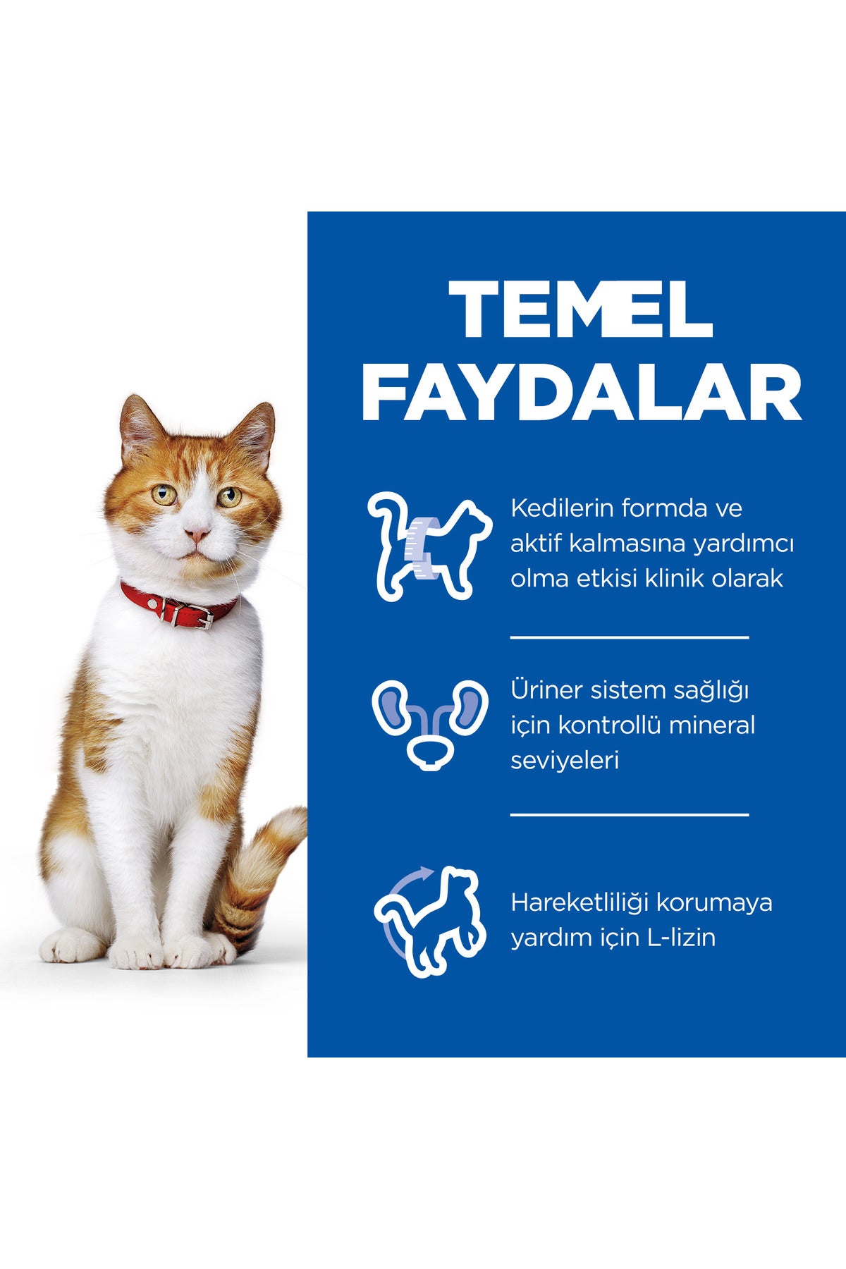 SCIENCE PLAN Tavuklu Kısırlaştırılmış Yetişkin Kedi Maması 3kg