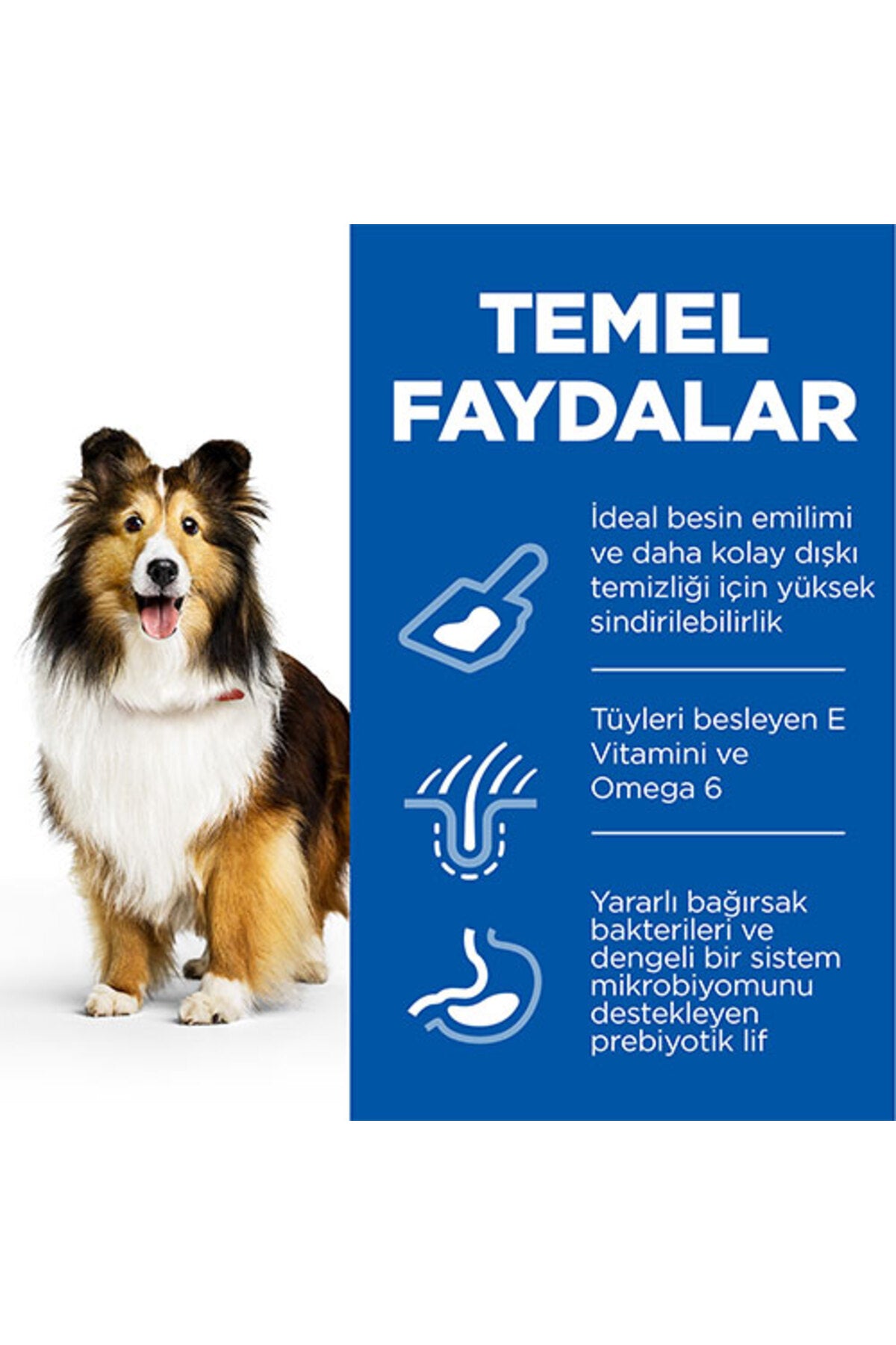 Hill’s SCIENCE PLAN Adult Medium Sensitive Stomach & Skin Chicken Hassas Yetişkin Köpek Maması 2,5 K