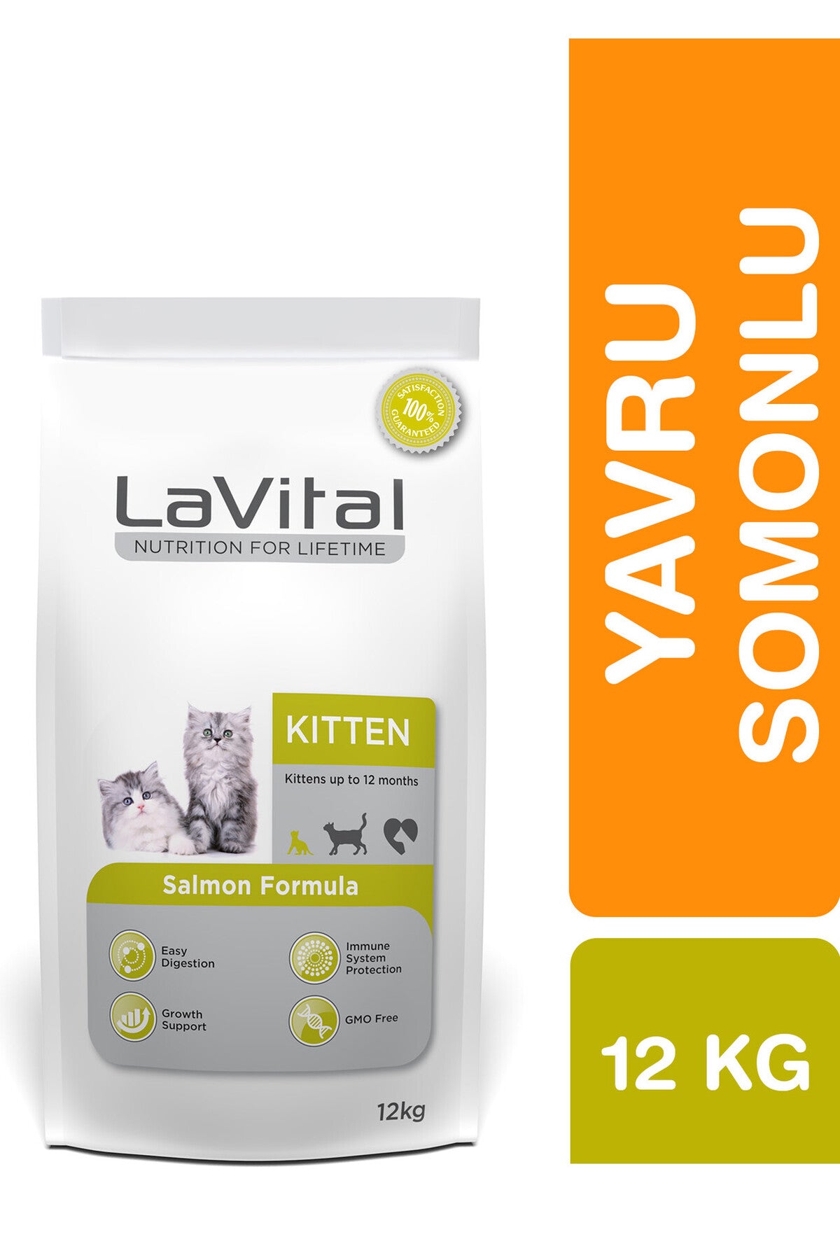 Yavru Kuru Kedi Maması (Kitten) Somonlu 12 KG
