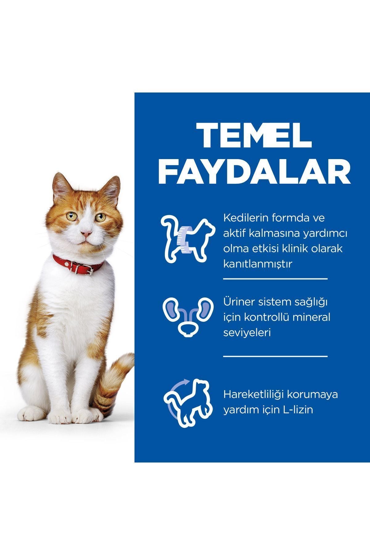 Science Plan Genç Yetişkin Kısır Kedi Maması Somon Balıklı 1,5 kg