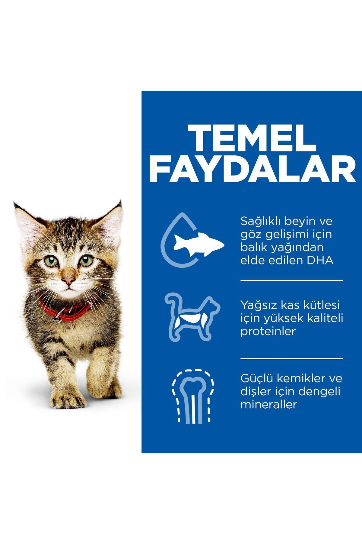 SCIENE PLAN Tavuklu Yavru Kedi Maması 7kg