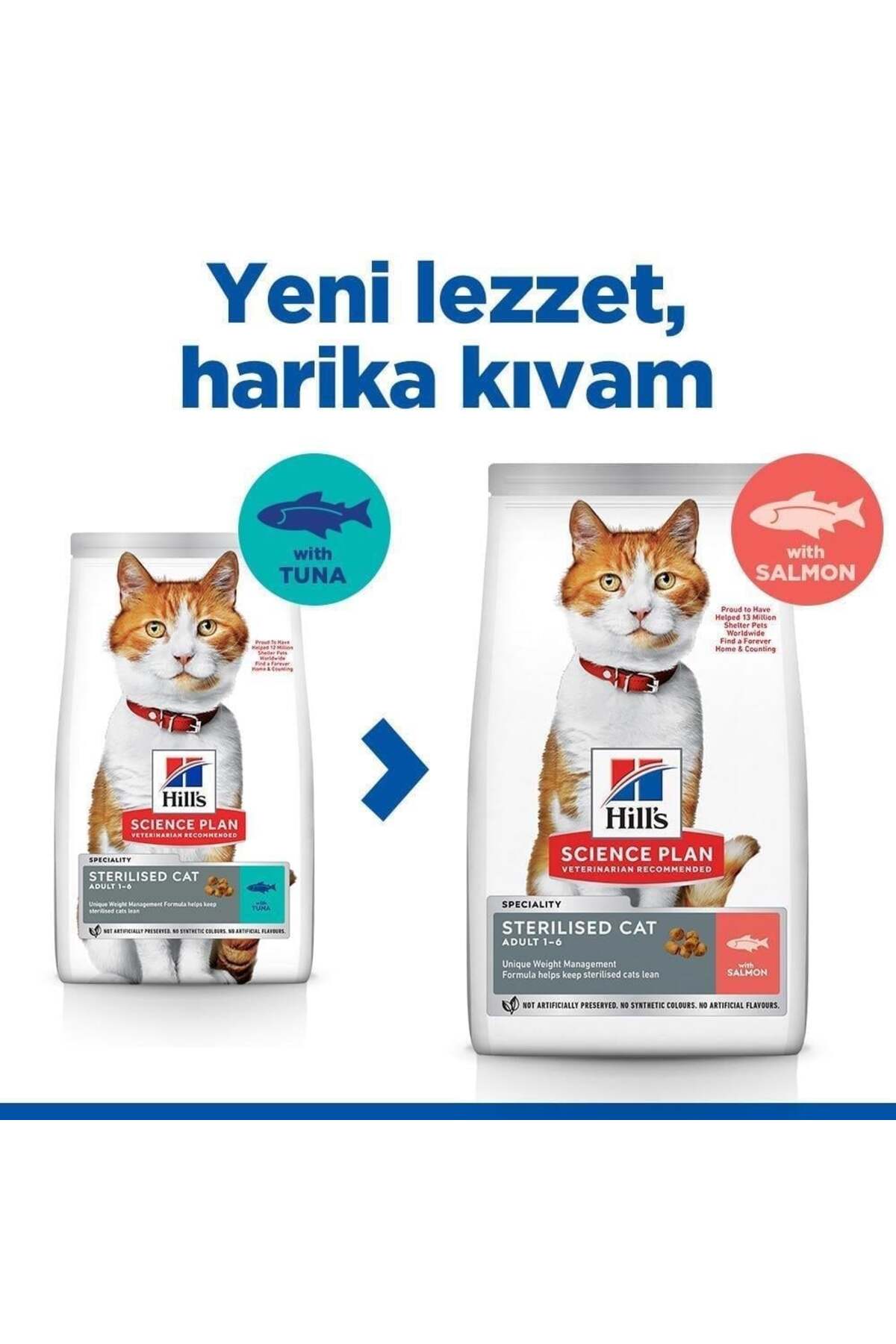 SCIENCE PLAN Somonlu Kısırlaştırılmış Yetişkin Kedi Maması 8+2 kg