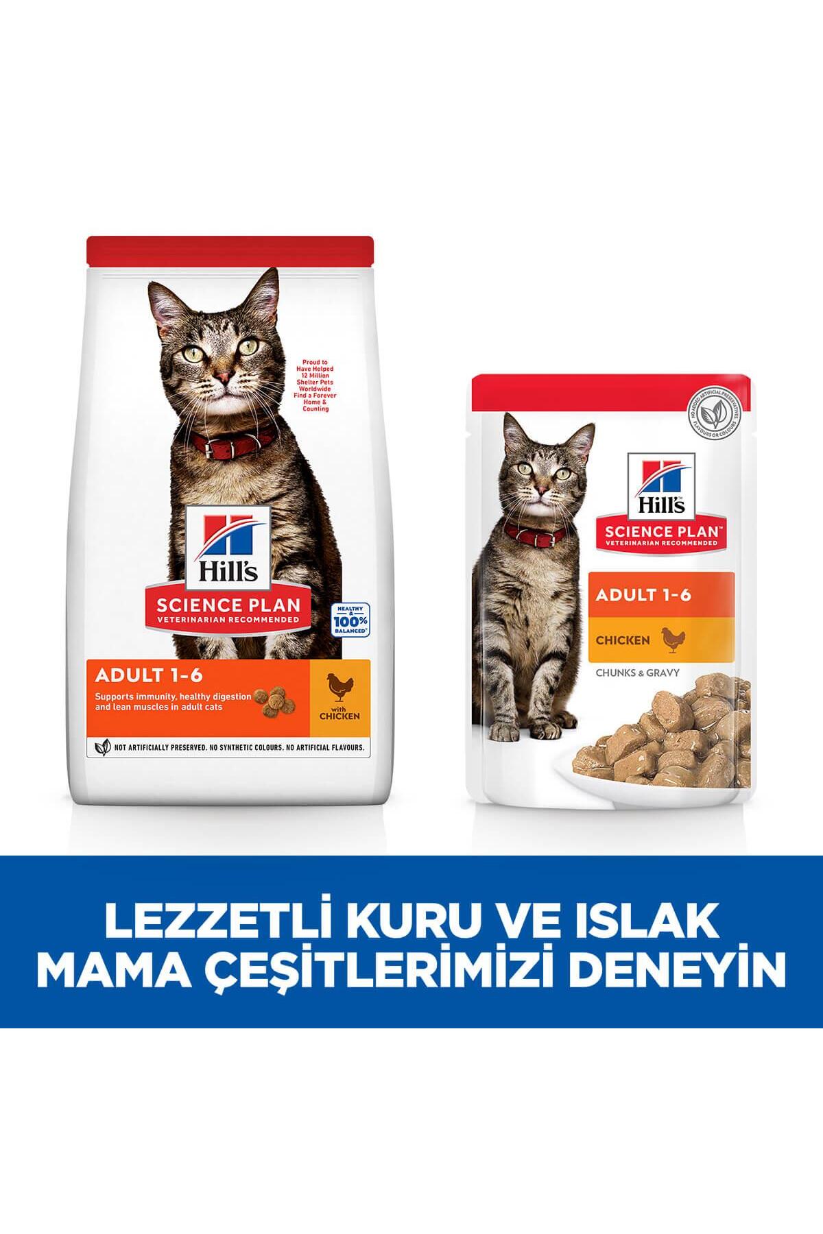 Hills Adult Chicken Tavuklu Yetişkin Kuru Kedi Maması 1.5 Kg