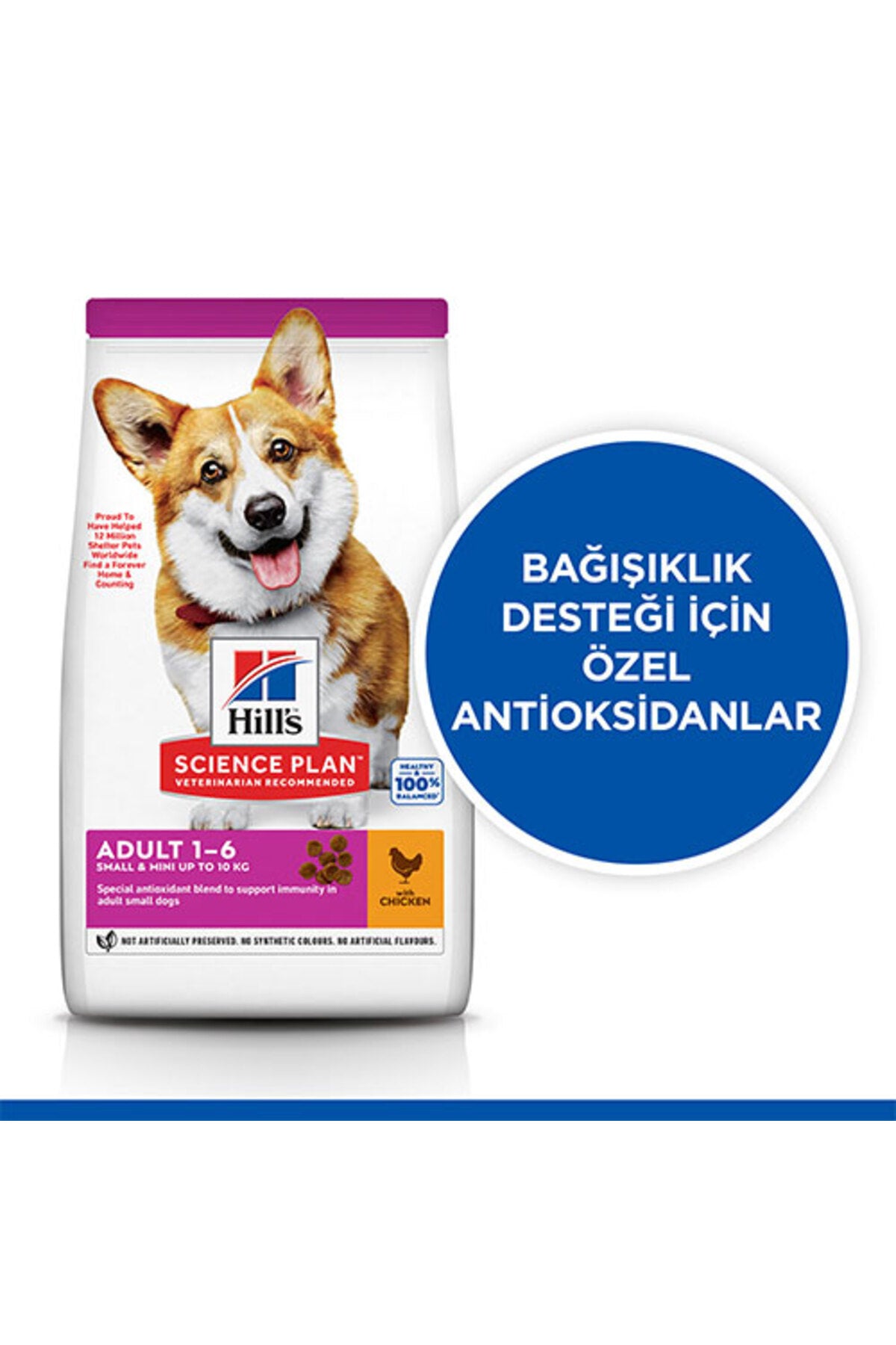 Hill’s SCIENCE PLAN Adult Small & Mini Chicken Küçük Irk Tavuklu Yetişkin Köpek Maması 6 Kg