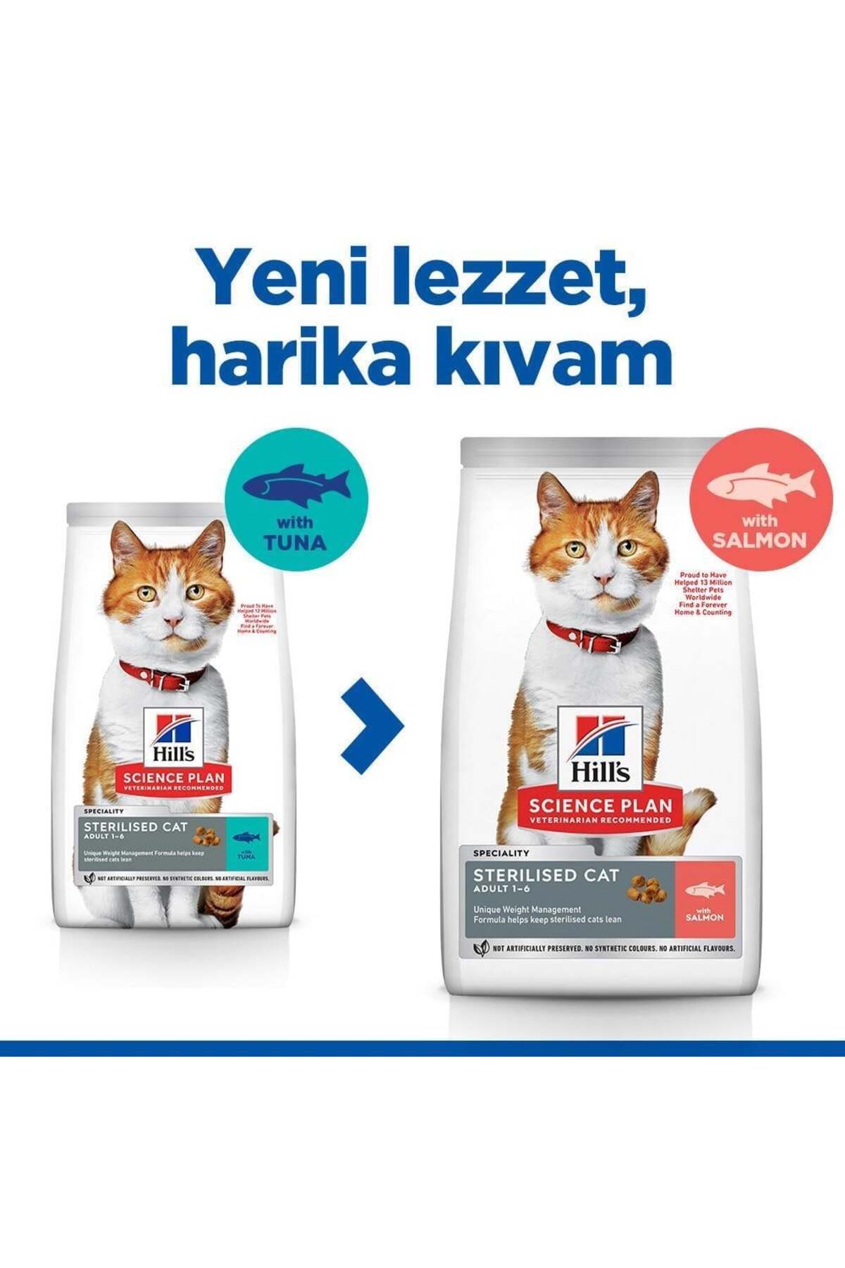 Science Plan Genç Yetişkin Kısır Kedi Maması Somon Balıklı 1,5 kg